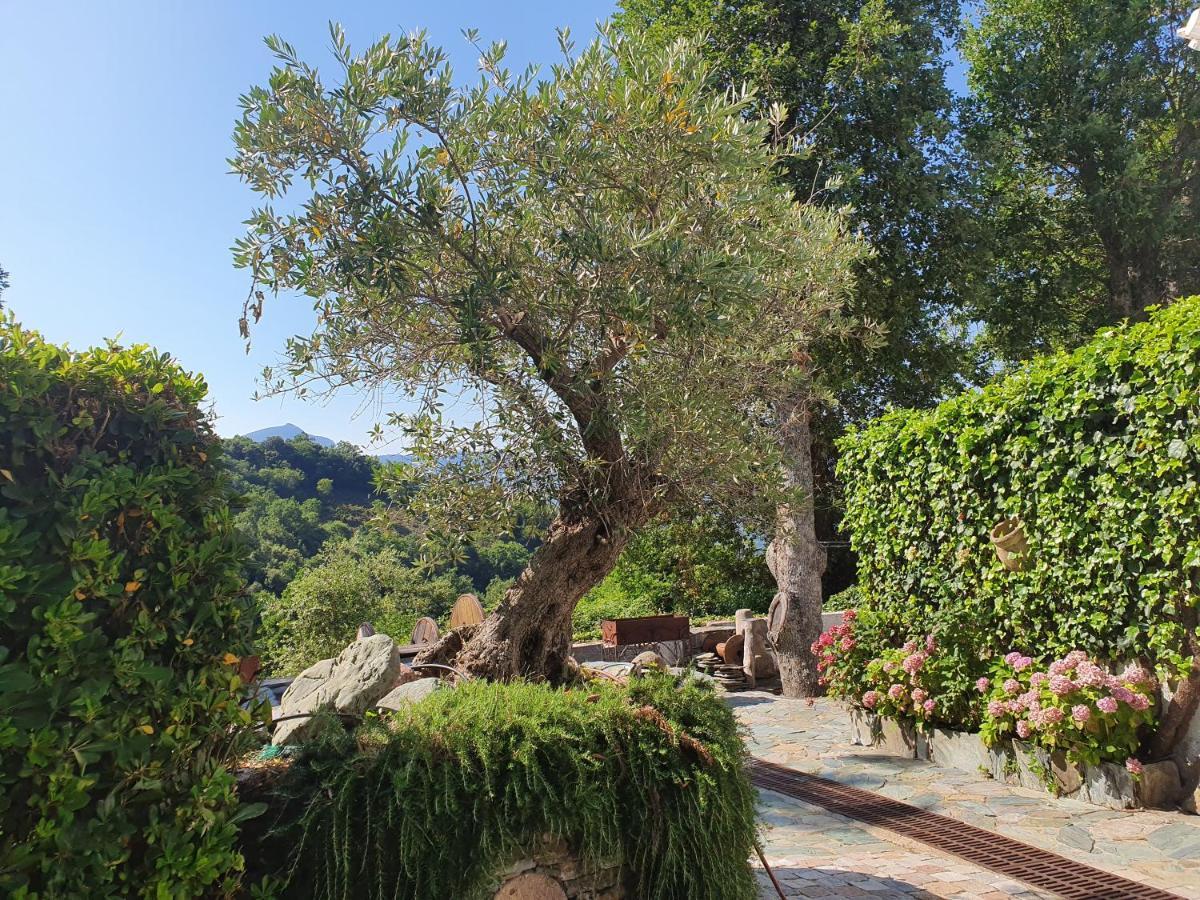 Maison De Charme Avec Piscine Et Vue Exceptionnelle Scolca Bagian luar foto