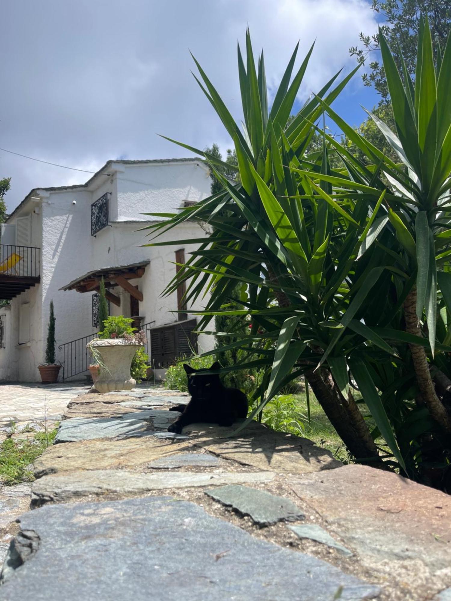 Maison De Charme Avec Piscine Et Vue Exceptionnelle Scolca Bagian luar foto